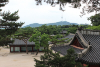 Palace and the Seoul Tower