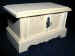 Trunk-Chest 