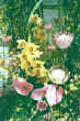 Floral 2 web.jpg (112243 bytes)