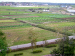 Hotel view